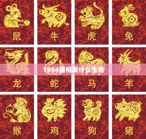 94年生肖|1994年1月出生属什么生肖 属狗还是属鸡